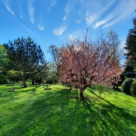 Bed & Breakfast Les Etangs Du Moulin D'harcy Lonny