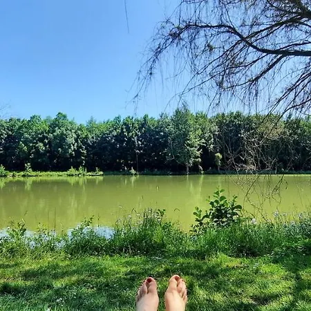 Les Etangs Du Moulin D'harcy Bed & Breakfast *