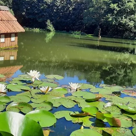Bed & Breakfast Les Etangs Du Moulin D'harcy