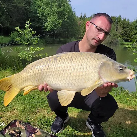 Les Etangs Du Moulin D'harcy Bed & Breakfast