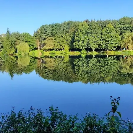 Les Etangs Du Moulin D'harcy Bed & Breakfast